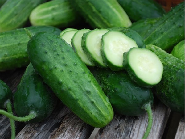 Cucumber